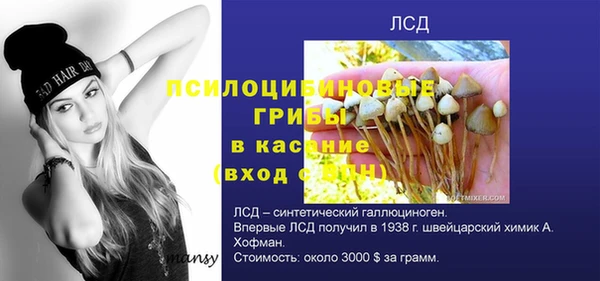 ECSTASY Верея