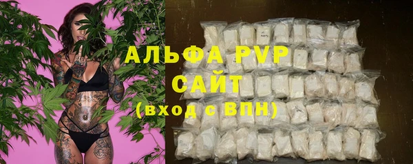 ECSTASY Верея