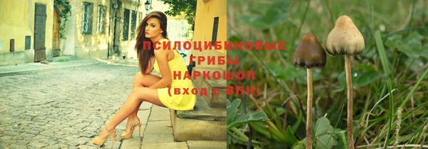 бошки Верхний Тагил